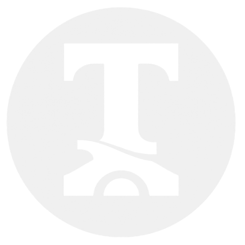 TrustBridge Logo